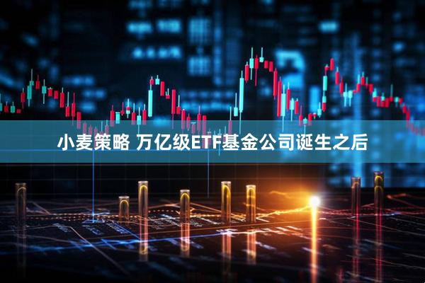 小麦策略 万亿级ETF基金公司诞生之后