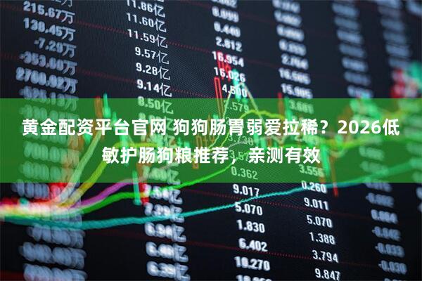 黄金配资平台官网 狗狗肠胃弱爱拉稀？2026低敏护肠狗粮推荐，亲测有效
