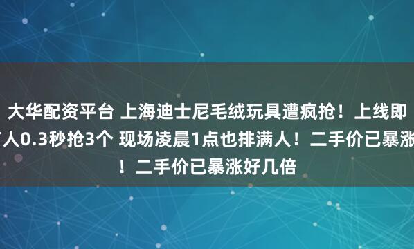 大华配资平台 上海迪士尼毛绒玩具遭疯抢！上线即秒光 有人0.3秒抢3个 现场凌晨1点也排满人！二手价已暴涨好几倍