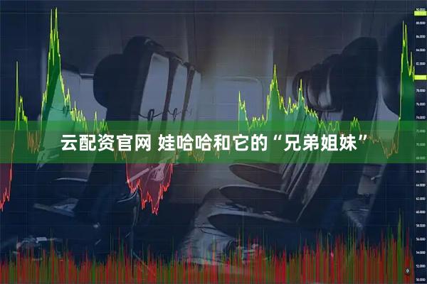 云配资官网 娃哈哈和它的“兄弟姐妹”