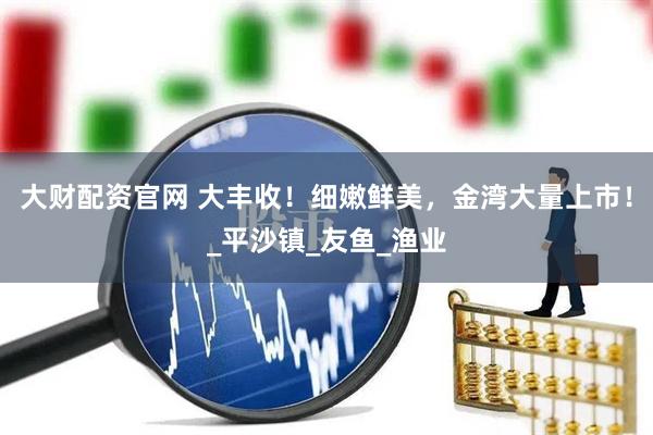 大财配资官网 大丰收！细嫩鲜美，金湾大量上市！_平沙镇_友鱼_渔业